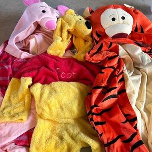 Winnie the Pooh family costume